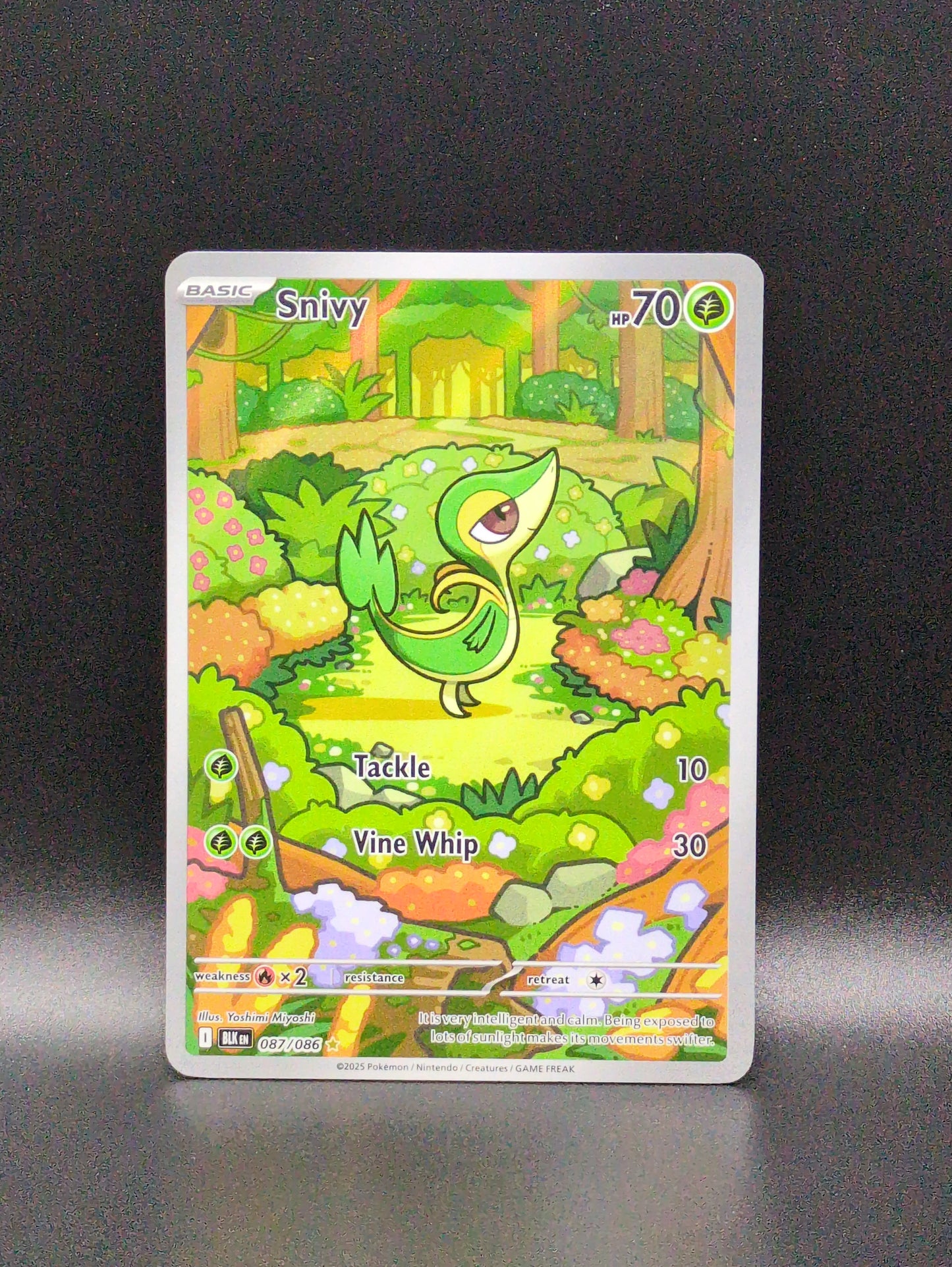 Snivy (Illustration Rare) #087/086 - Black Bolt