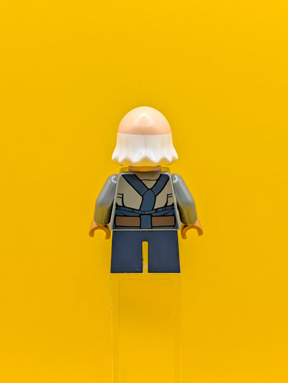 Ugnaught sw0710 Star Wars Minifigure Lego