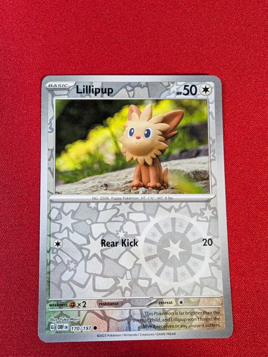 Lillipup #170