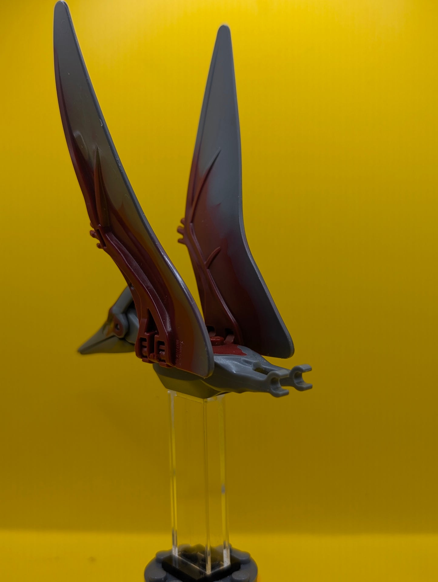 Dinosaur Pteranodon ptera04 with 4 Studs with Dark Red Back and Large Curved Nostrils Jurassic World Lego Minifigure