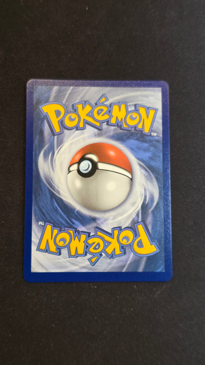 Blaziken Vmax #200/198 - Chilling Reign