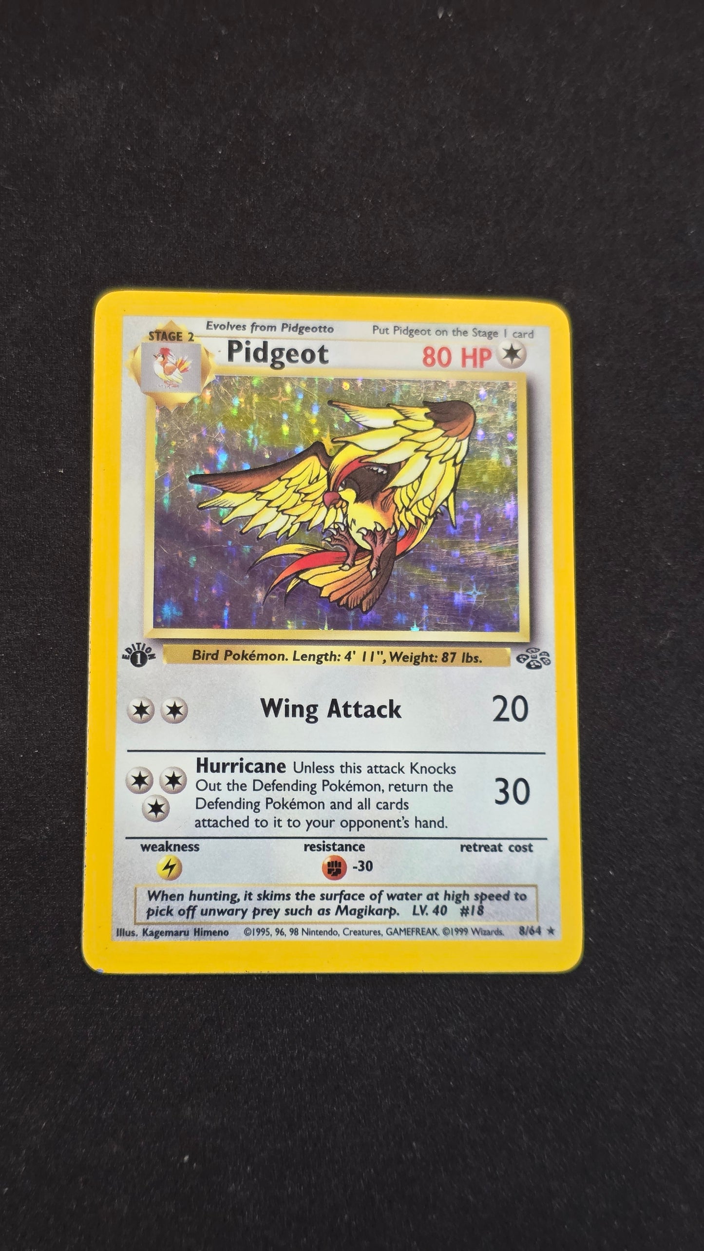 Pidgeot (1st Edition) #8/64 -Jungle
