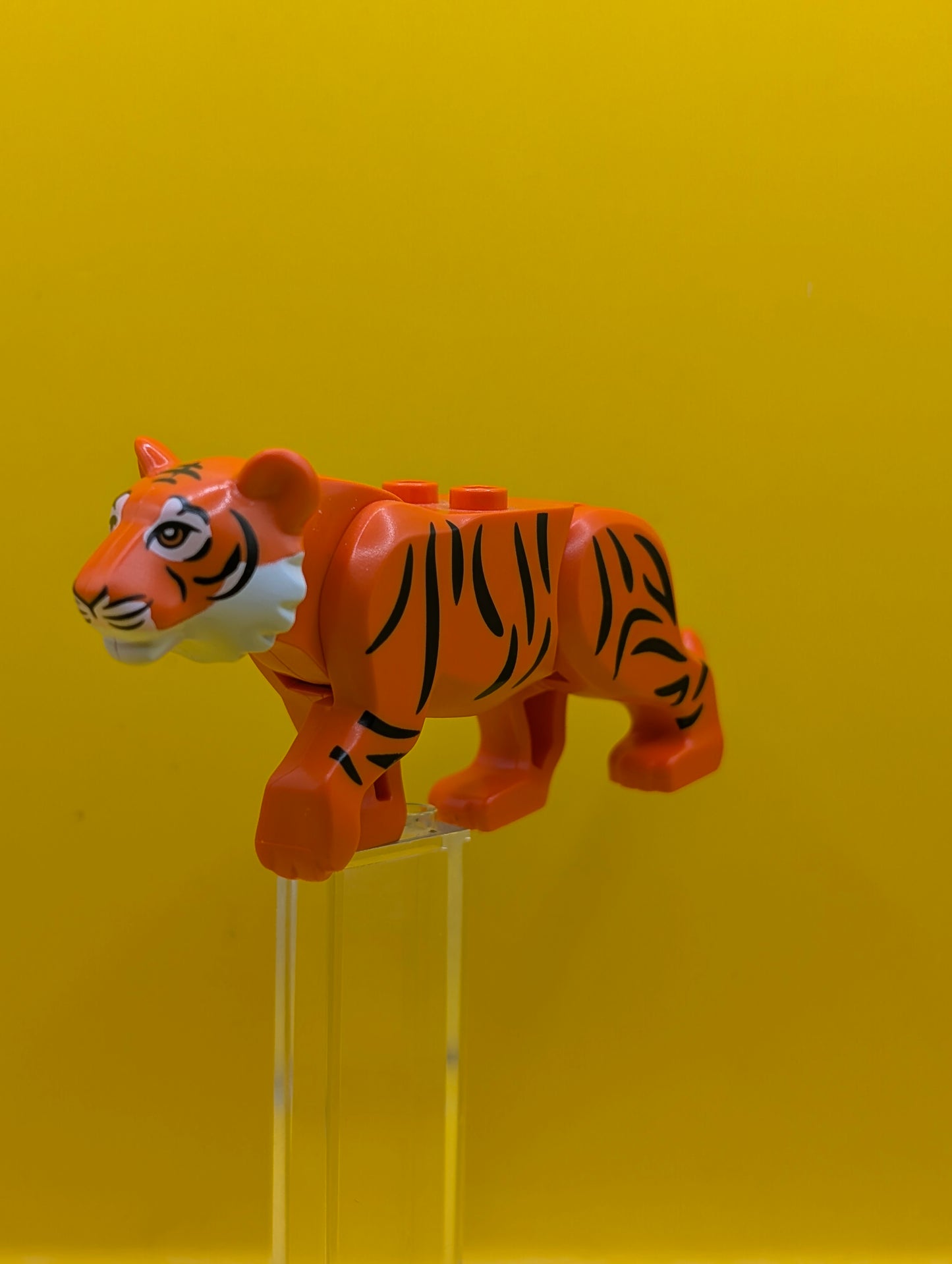 Tiger bb0787c05pb01 with White Muzzle and Nose and Black Stripes Pattern City Lego Minifigure
