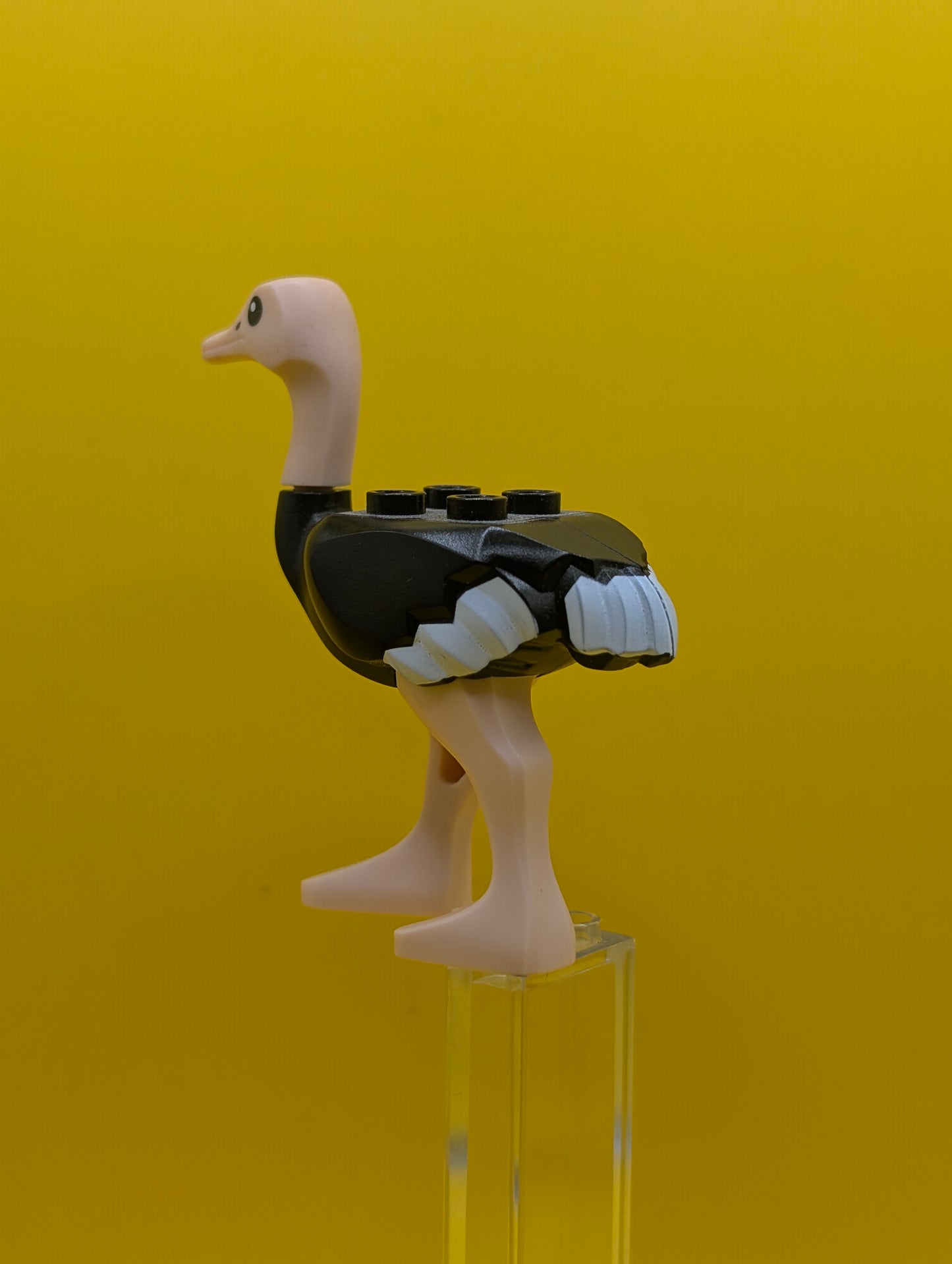 Ostrich 24689pb01c01 with Light Nougat Legs and Head, White Tail and Wingtips Pattern Prince of Persia Lego Minifigure