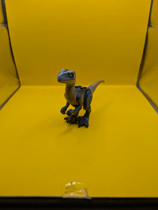Dinosaur Raptor raptor13 Velociraptor with Dark Blue and Sand Blue Markings, Dark Blue Eye Patch Jurassic World Lego Minifigure