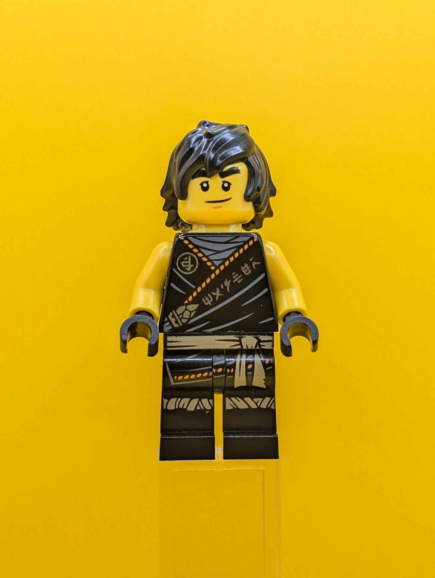 Cole njo0575 Legacy Rebooted 'MANTER' on Torso Ninjago Minifigure Lego