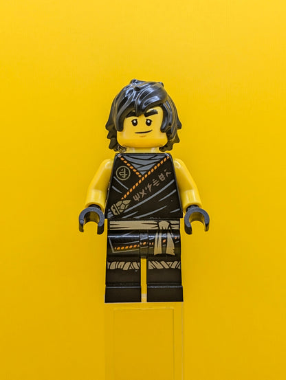 Cole njo0575 Legacy Rebooted 'MANTER' on Torso Ninjago Minifigure Lego