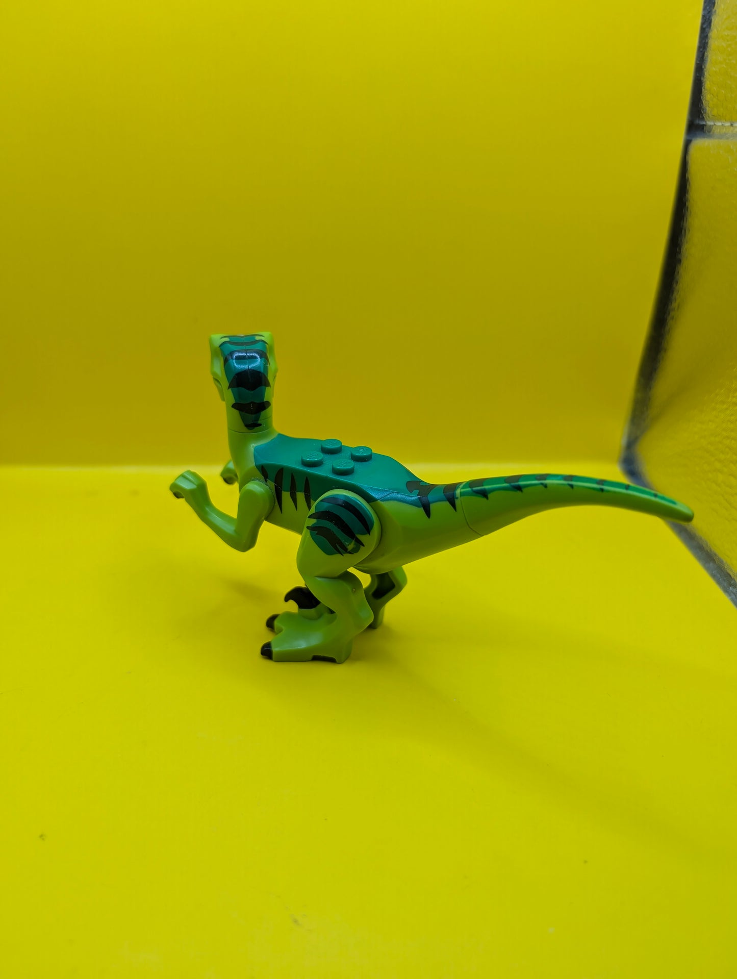 Dinosaur Raptor raptor08 Velociraptor with Green Back Jurassic World Lego Minifigure
