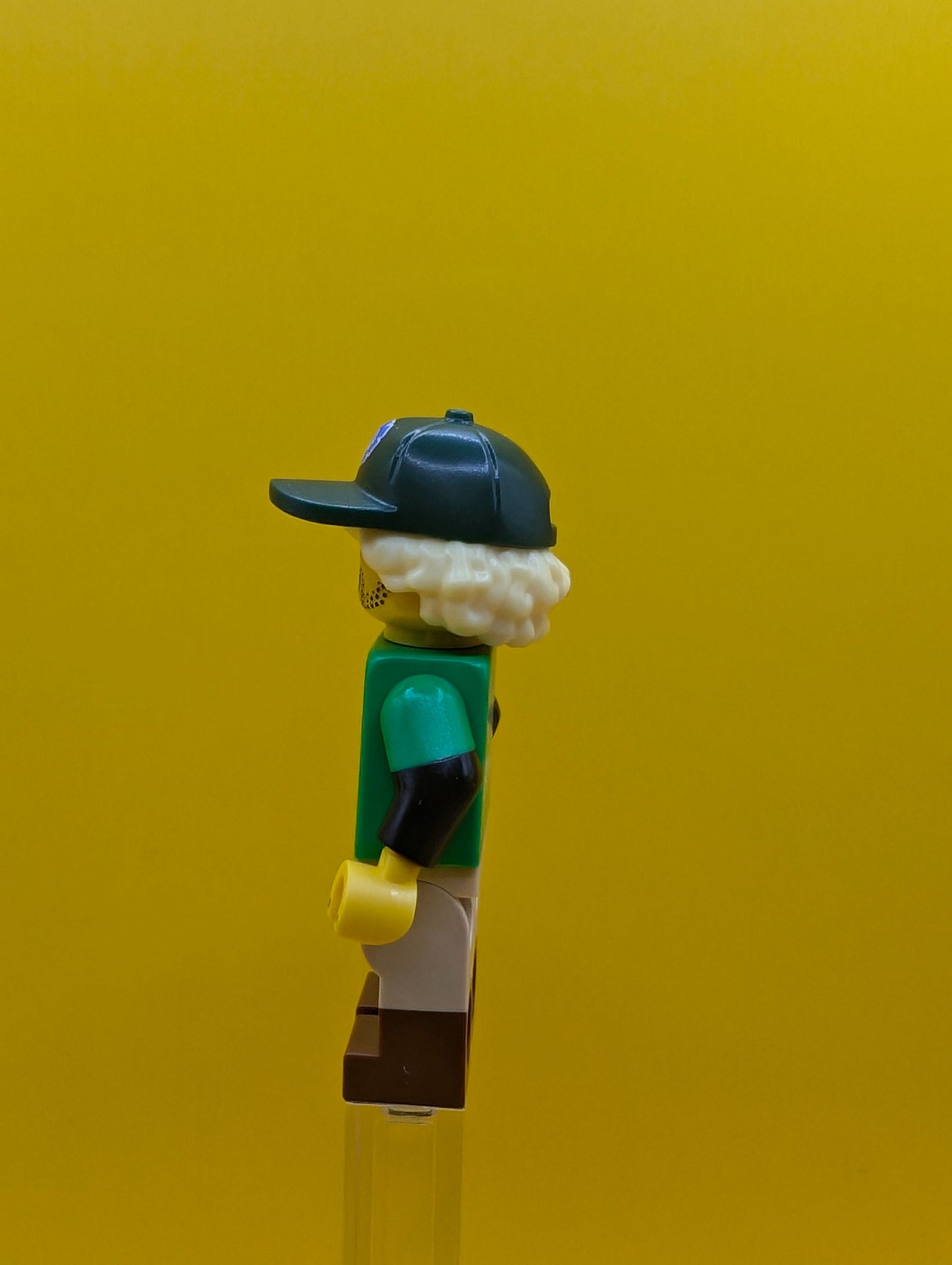 Conservationist col419 Series 24 (minifigure only without stand or accessories)