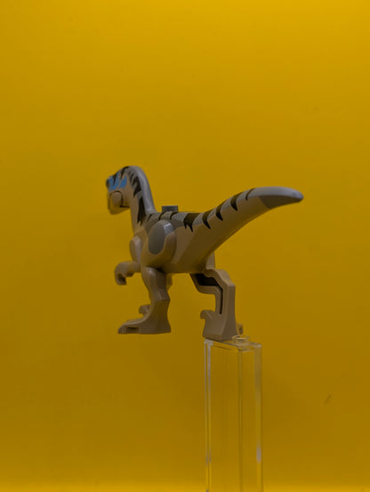Dinosaur Raptor raptor18 Velociraptor with Dark Bluish Gray Back, Black Stripes, Dark Azure Markings Jurassic World Rebirth Lego Minifigure