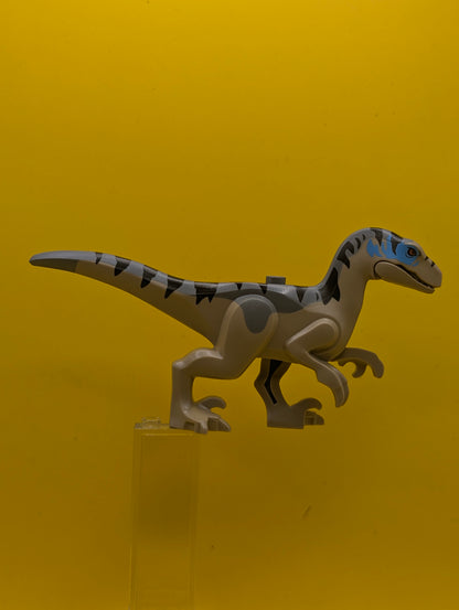 Dinosaur Raptor raptor18 Velociraptor with Dark Bluish Gray Back, Black Stripes, Dark Azure Markings Jurassic World Rebirth Lego Minifigure