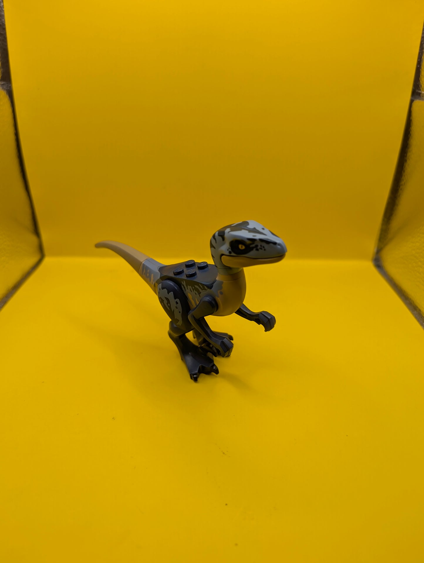 Dinosaur Raptor raptor13 Velociraptor with Dark Blue and Sand Blue Markings, Dark Blue Eye Patch Jurassic World Lego Minifigure