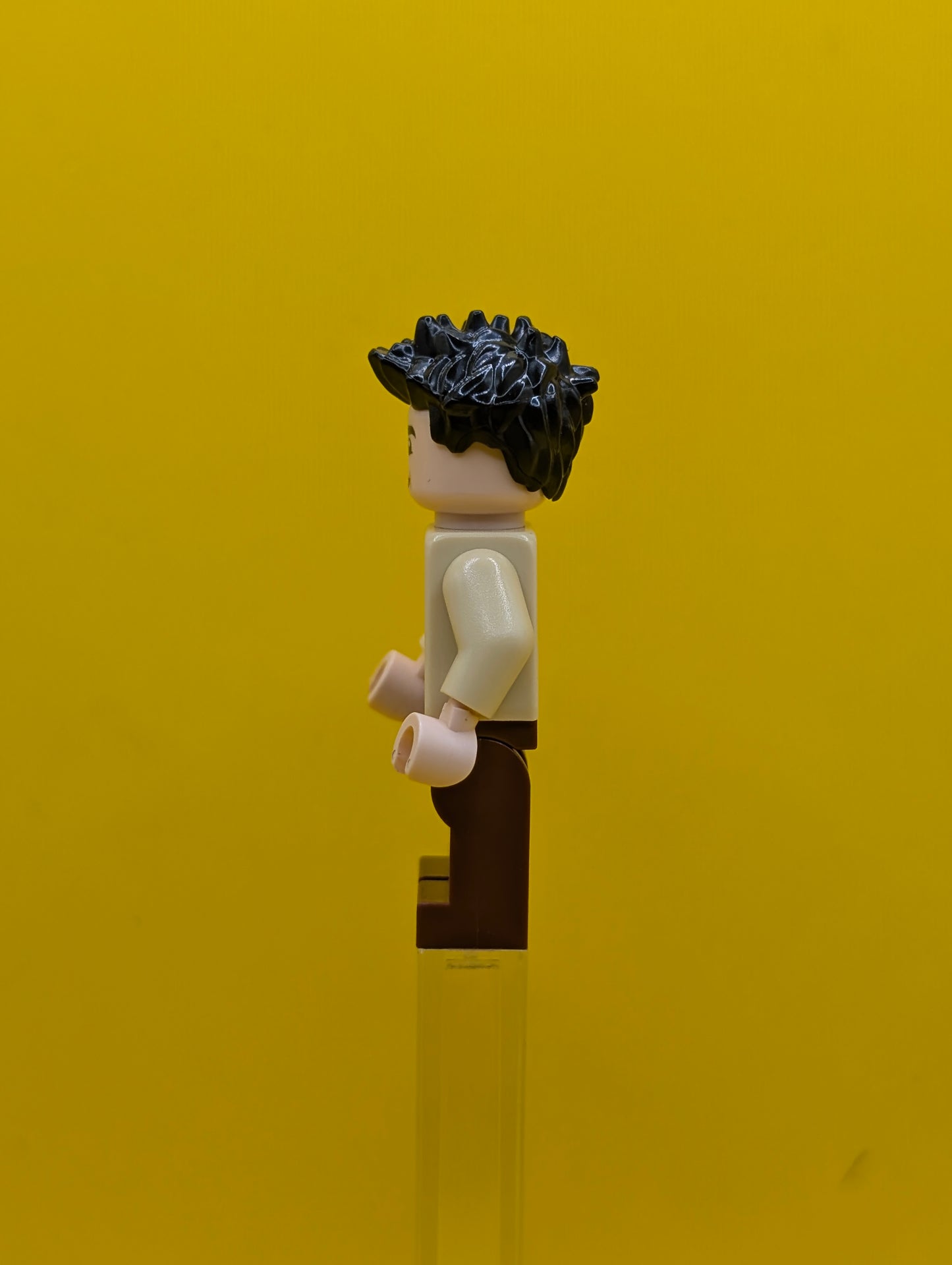 Ross Geller idea056 Ideas Lego Minifigure