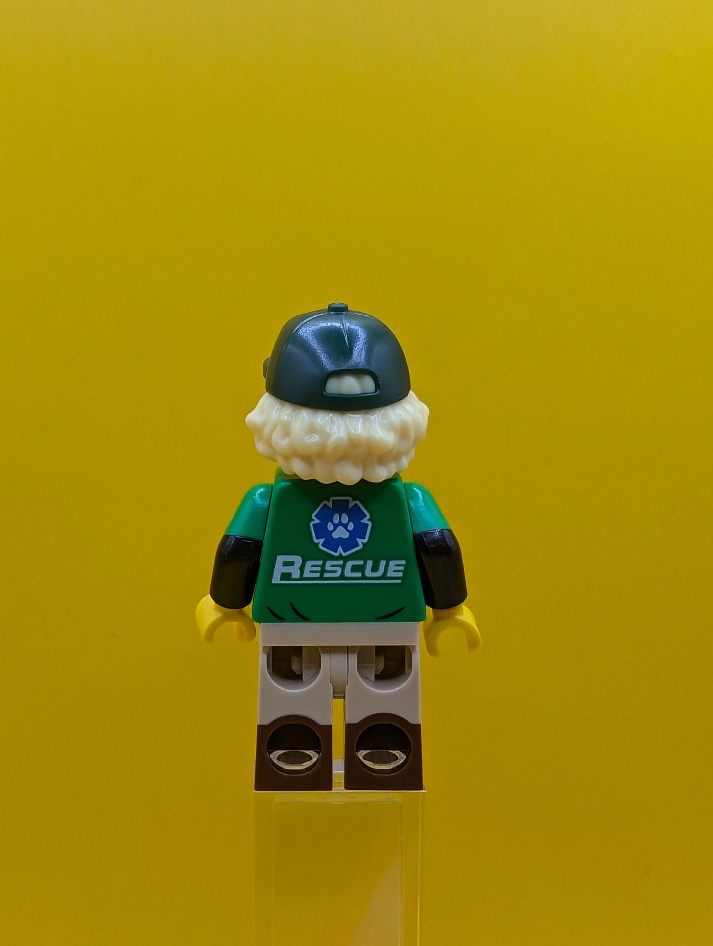 Conservationist col419 Series 24 (minifigure only without stand or accessories)