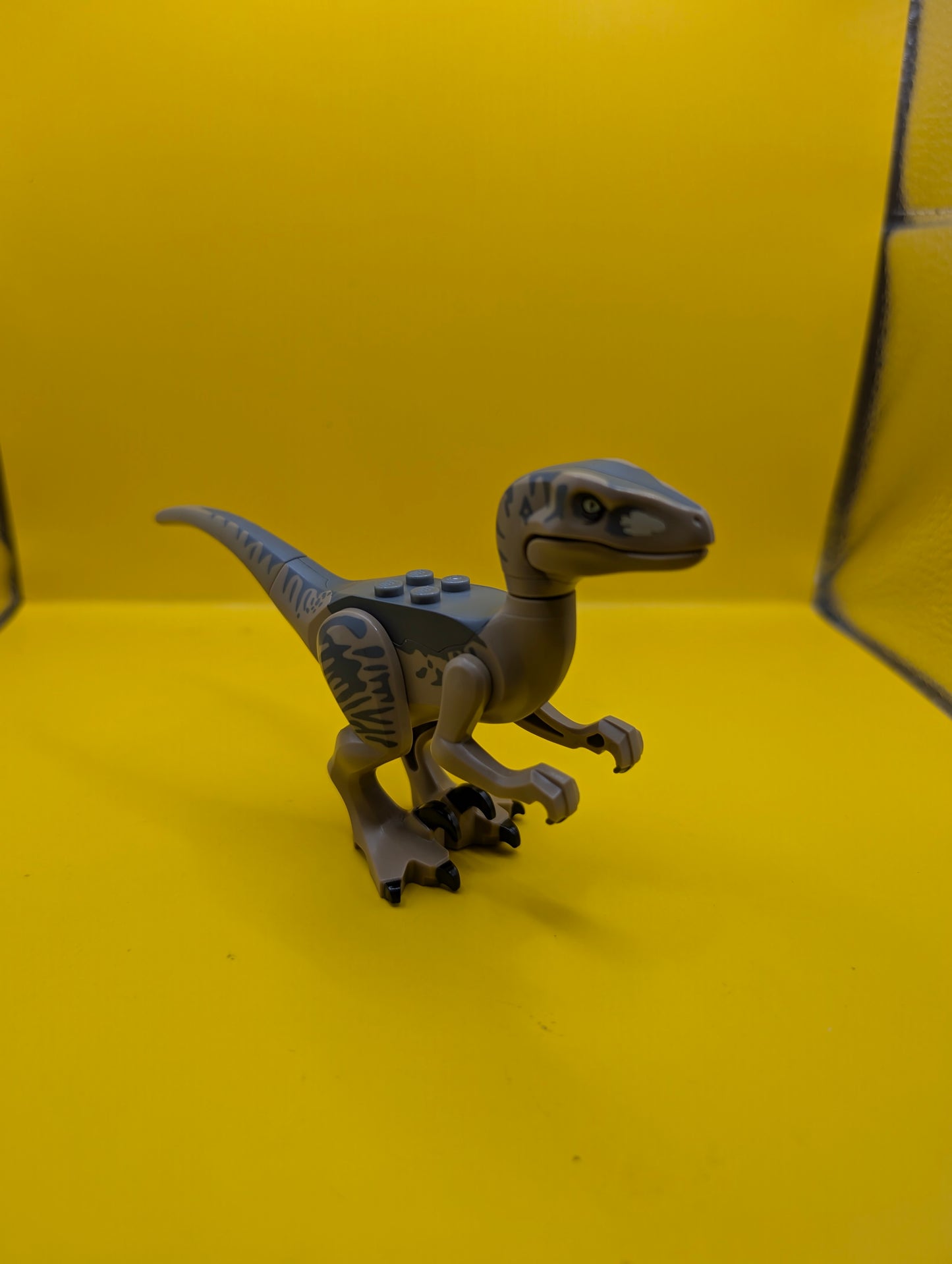 Dinosaur Raptor raptor15 Velociraptor with Dark Bluish Gray Back Jurassic World Lego Minifigure