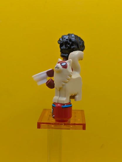 Pavitr Prabhakar colspi-6 Spiderman India Marvel Spider-Man Across The Spider-verse CMF Lego Minifigure