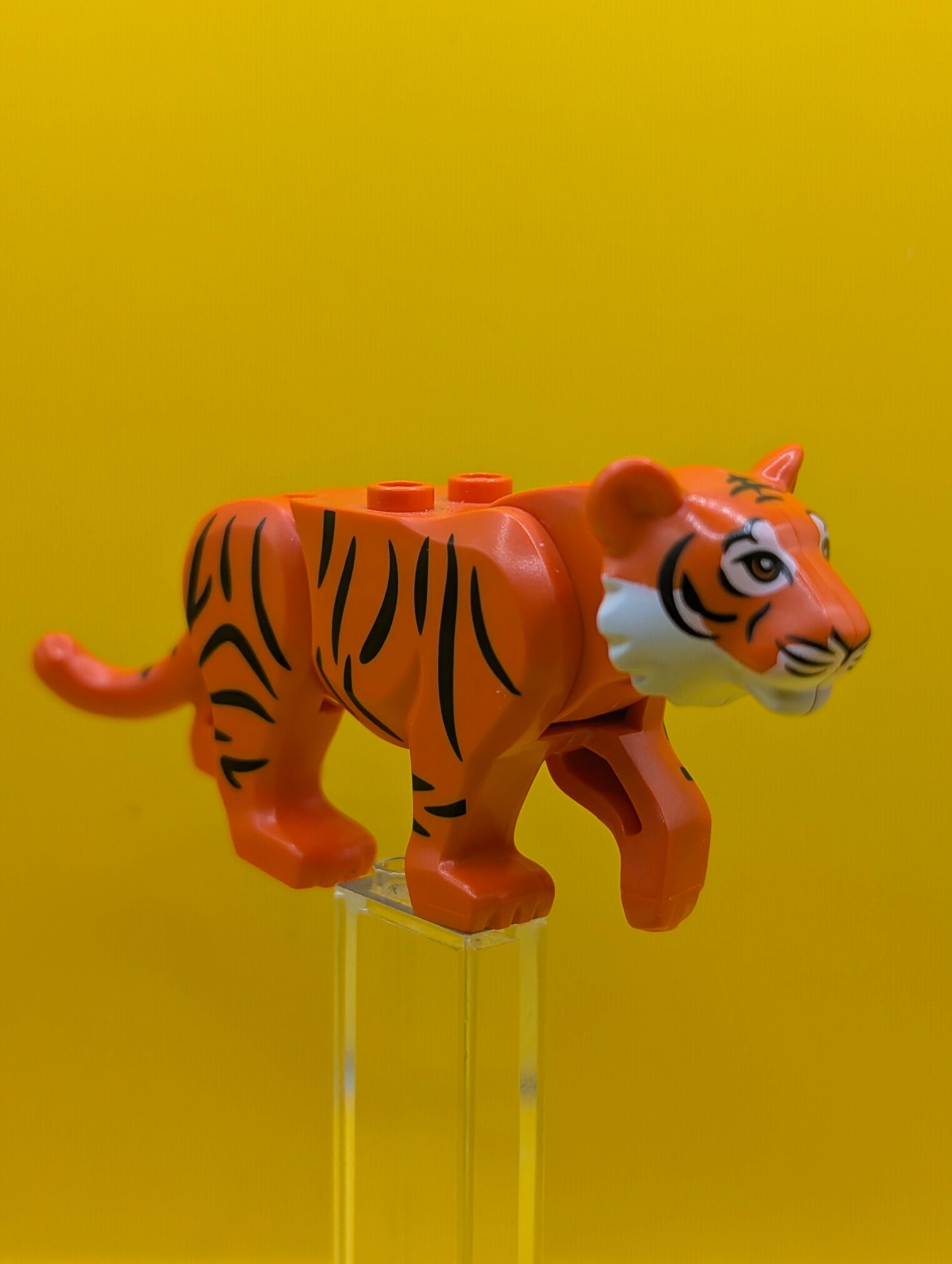 Tiger bb0787c05pb01 with White Muzzle and Nose and Black Stripes Pattern City Lego Minifigure