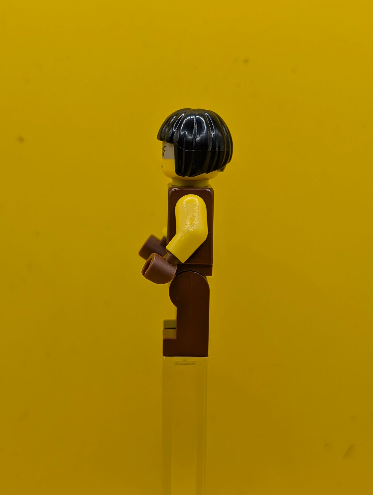 Sharkira tlm170 Hair The Lego Movie Lego Minifigure