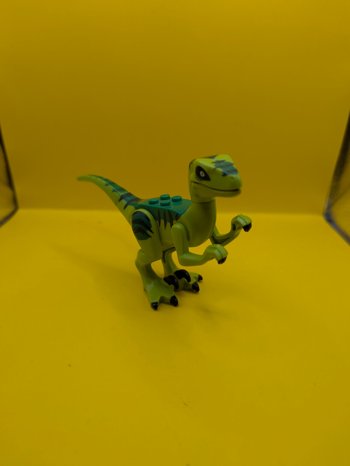 Dinosaur Raptor raptor08 Velociraptor with Green Back Jurassic World Lego Minifigure