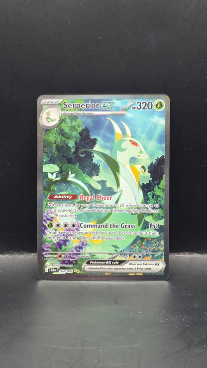 Serperior ex #164/086 -Black Bolt