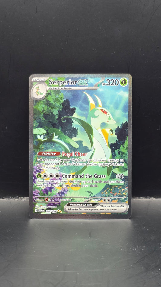 Serperior ex #164/086 -Black Bolt