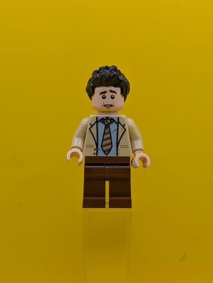 Ross Geller idea056 Ideas Lego Minifigure