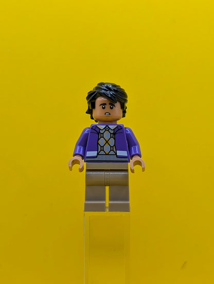 Raj Koothrappali idea017 Ideas Lego Minifigure