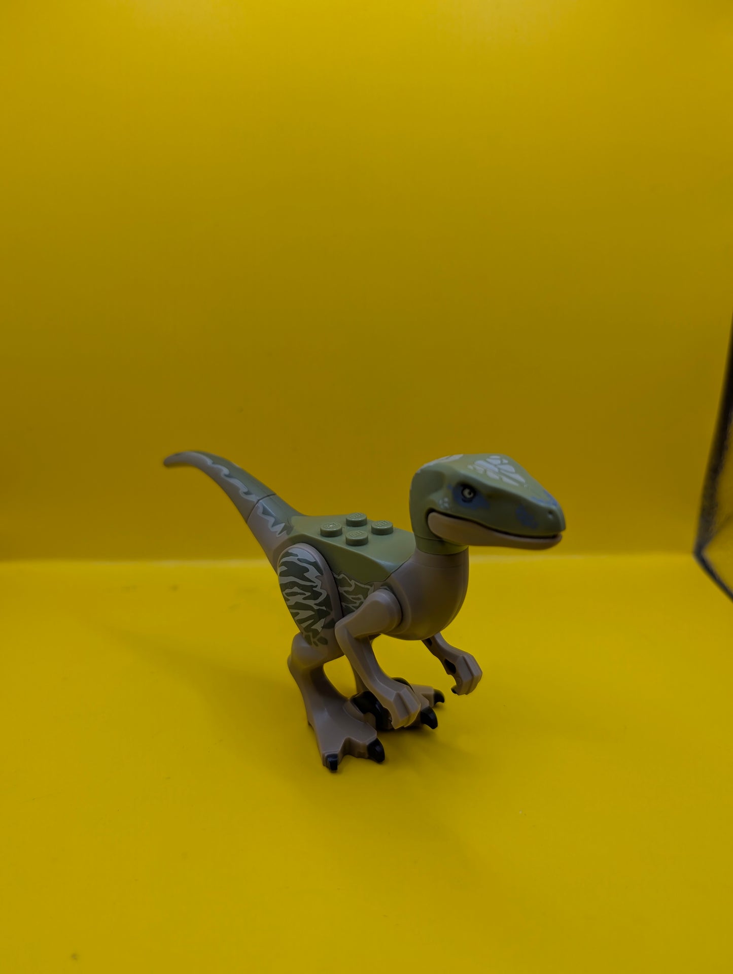 Dinosaur Raptor raptor06 Velociraptor with Olive Green Back and Tan Markings Jurassic World Lego Minifigure