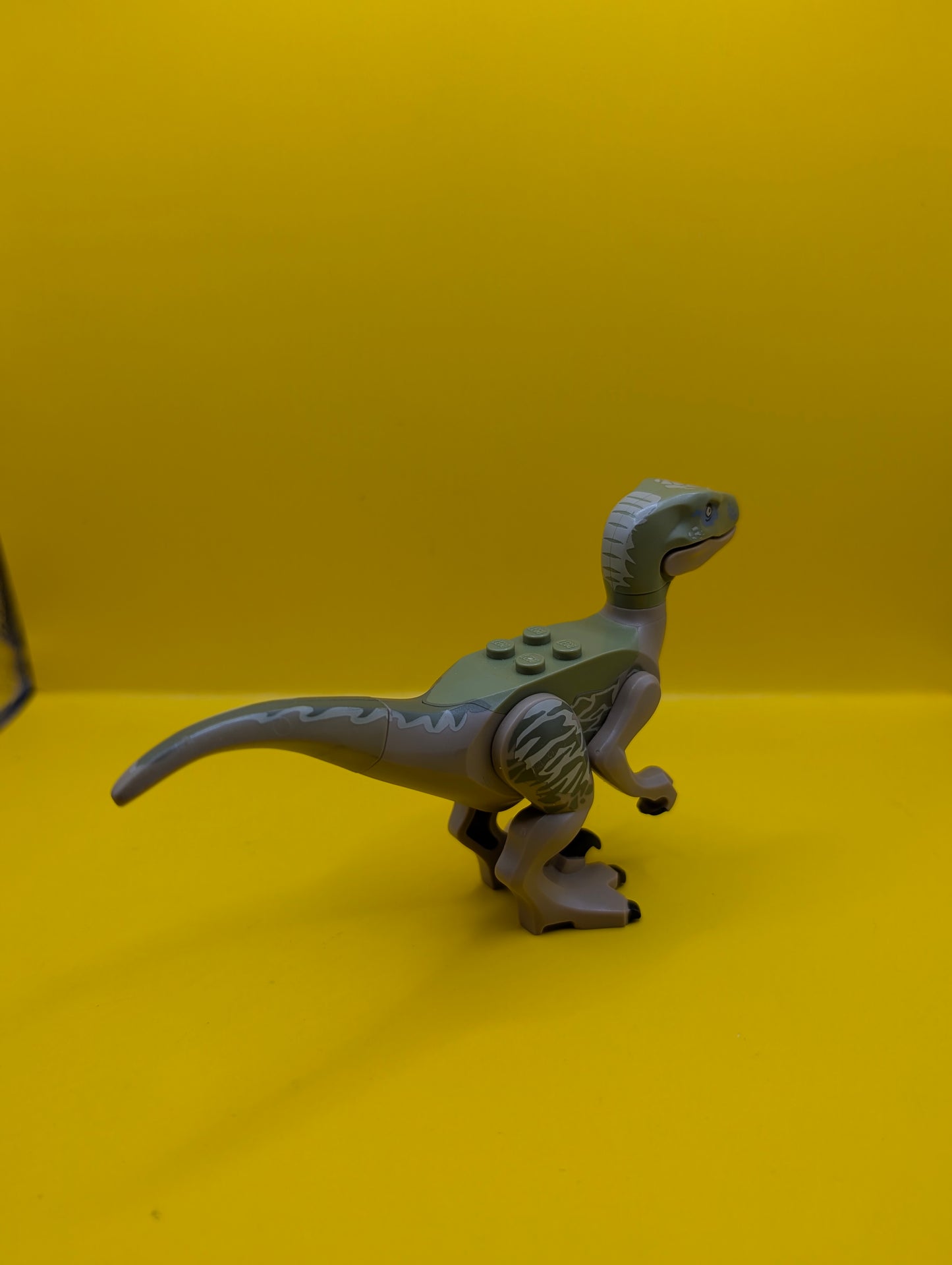 Dinosaur Raptor raptor06 Velociraptor with Olive Green Back and Tan Markings Jurassic World Lego Minifigure