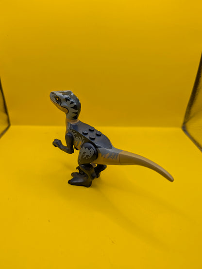 Dinosaur Raptor raptor13 Velociraptor with Dark Blue and Sand Blue Markings, Dark Blue Eye Patch Jurassic World Lego Minifigure