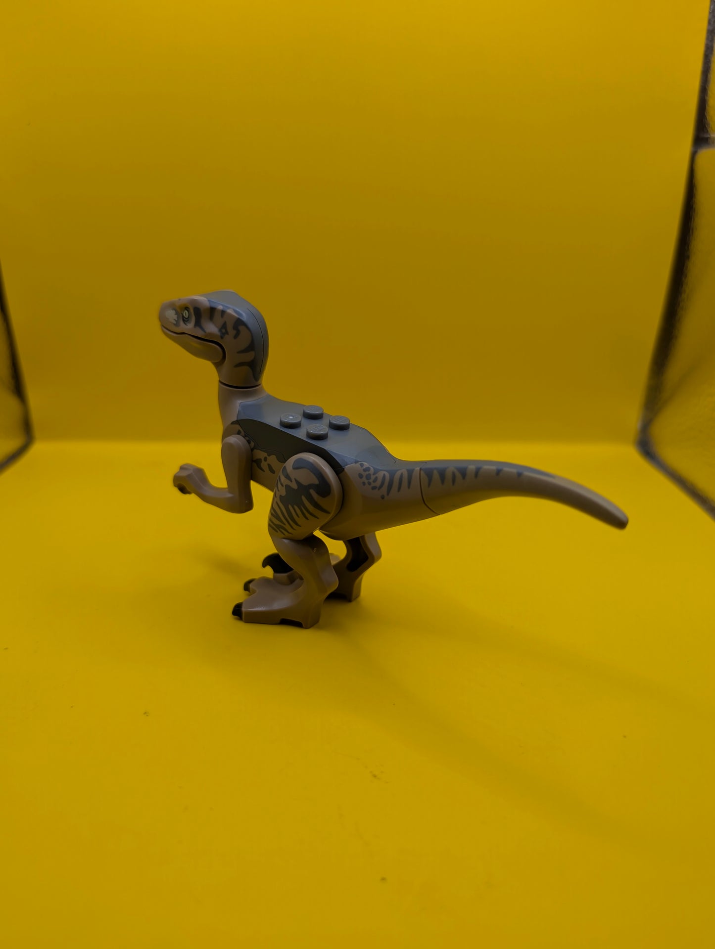 Dinosaur Raptor raptor15 Velociraptor with Dark Bluish Gray Back Jurassic World Lego Minifigure