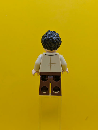 Ross Geller idea056 Ideas Lego Minifigure