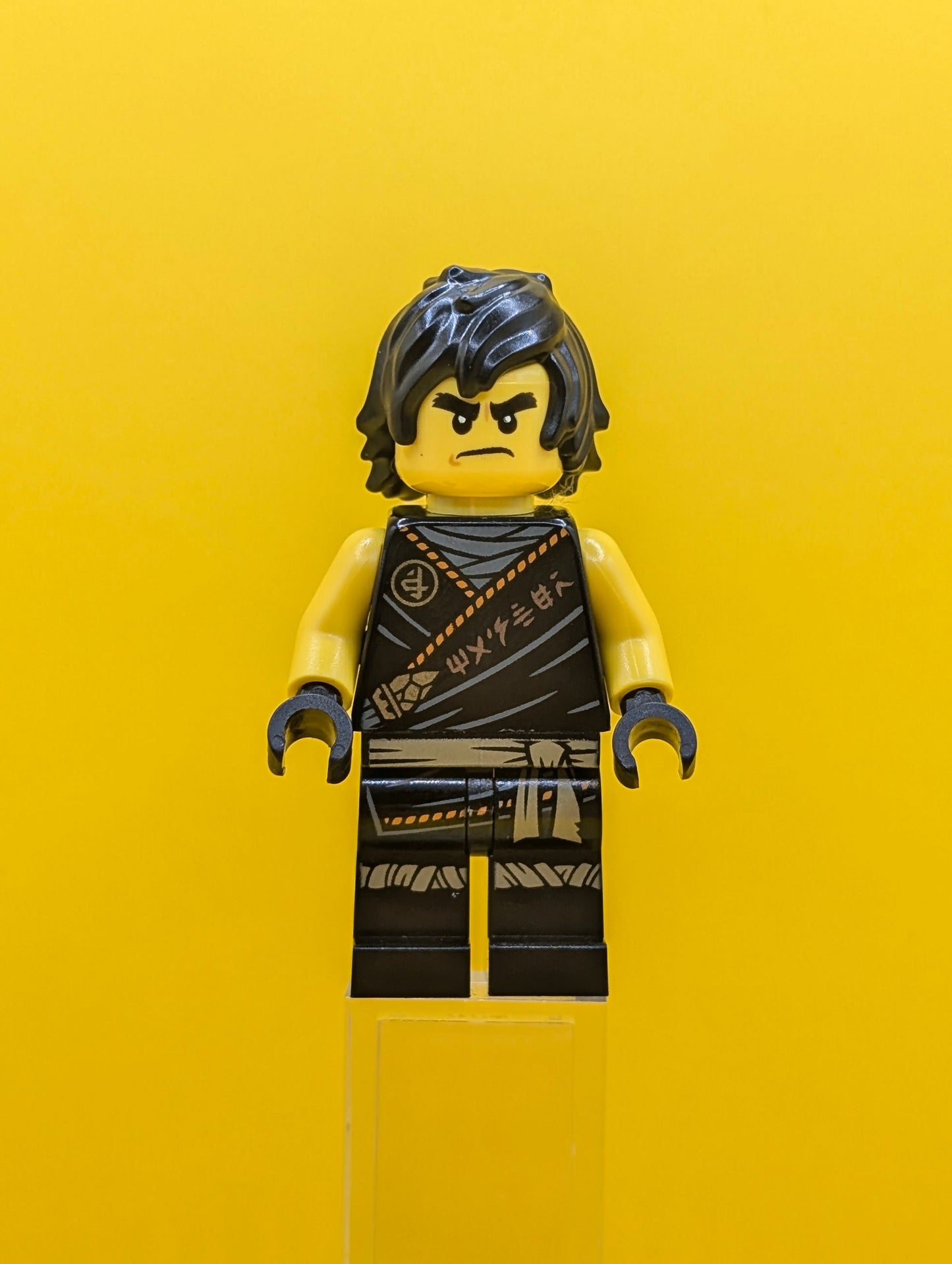 Cole njo0575 Legacy Rebooted 'MANTER' on Torso Ninjago Minifigure Lego