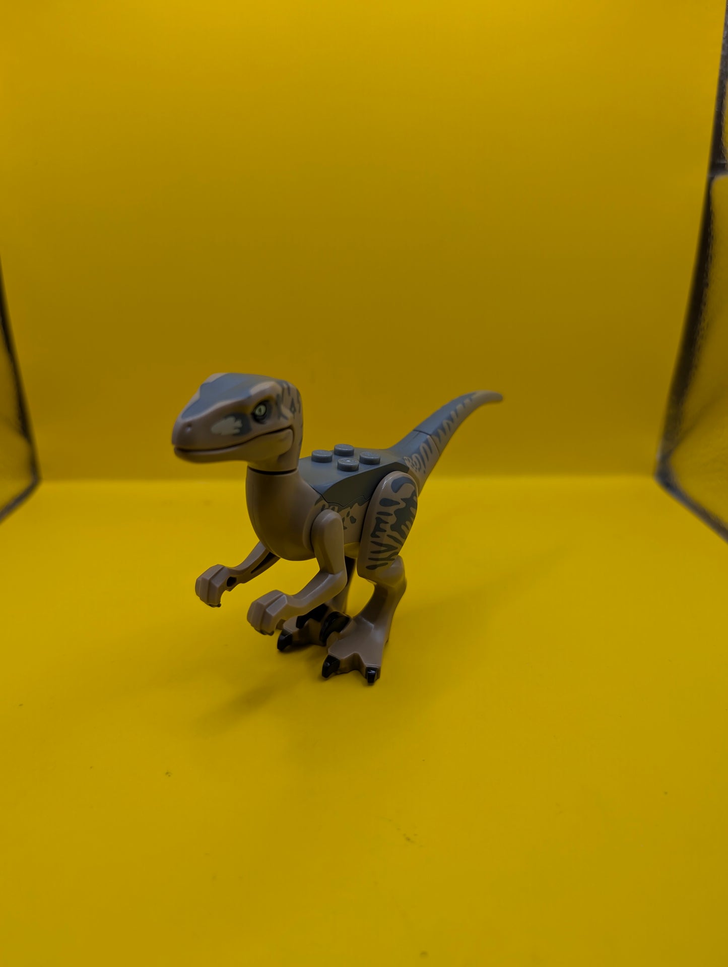 Dinosaur Raptor raptor15 Velociraptor with Dark Bluish Gray Back Jurassic World Lego Minifigure