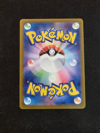 Charizard Ex #134/108 Ruler of the Black Flames