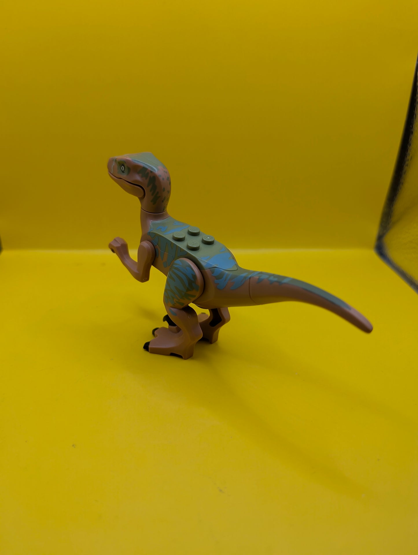 Dinosaur Raptor raptor05 Velociraptor with Olive Green Back and Sand Green Markings Jurassic World Lego Minifigure